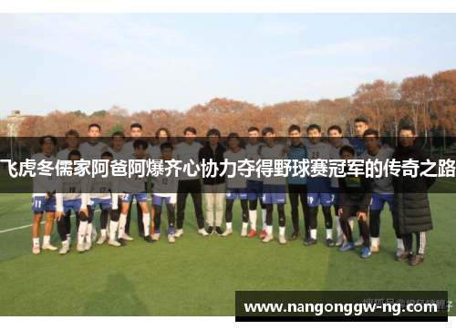 飞虎冬儒家阿爸阿爆齐心协力夺得野球赛冠军的传奇之路