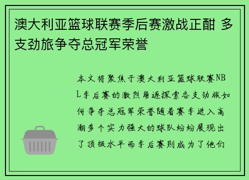 澳大利亚篮球联赛季后赛激战正酣 多支劲旅争夺总冠军荣誉