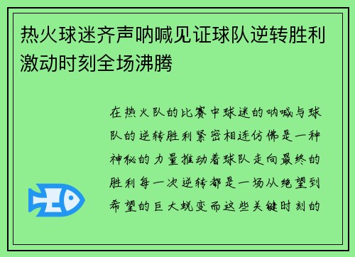 热火球迷齐声呐喊见证球队逆转胜利激动时刻全场沸腾
