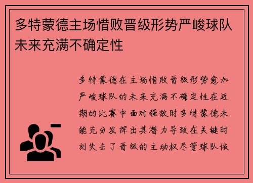 多特蒙德主场惜败晋级形势严峻球队未来充满不确定性